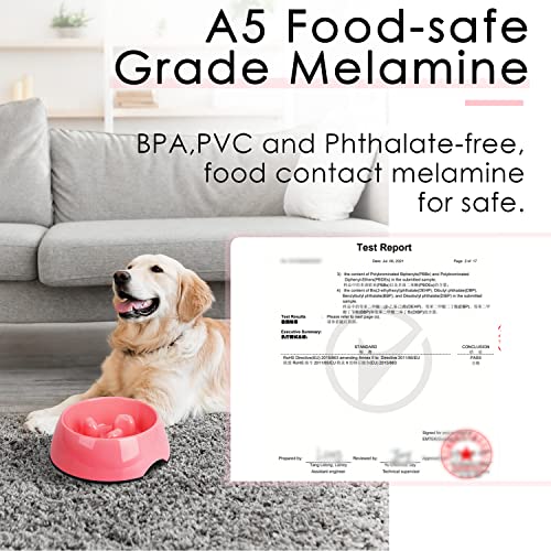 Anti-Gulping Slow Feeder Cat Bowl