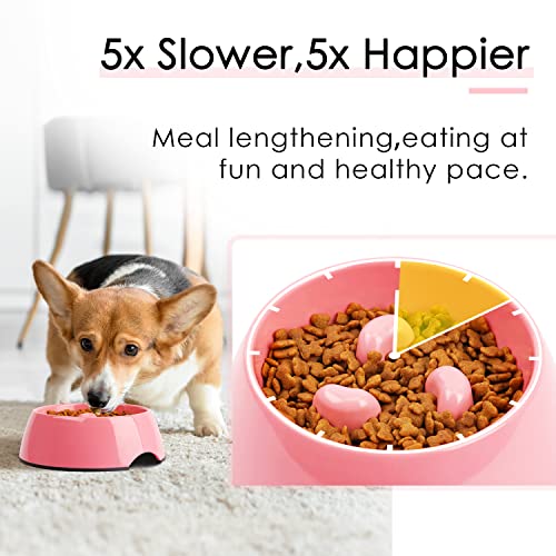 Anti-Gulping Slow Feeder Cat Bowl