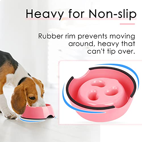 Anti-Gulping Slow Feeder Cat Bowl
