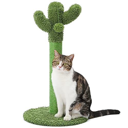 Cactus Cat Scratching Post with Dangling Balls