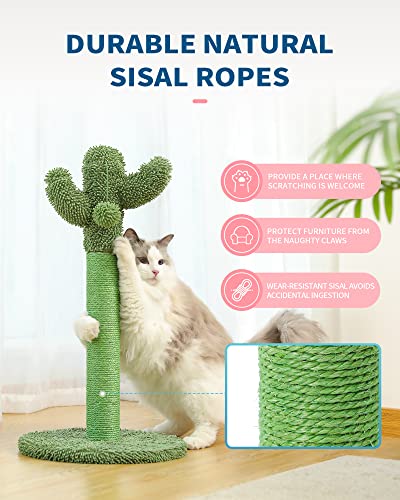Cactus Cat Scratching Post with Dangling Balls
