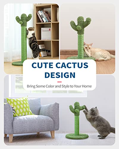 Cactus Cat Scratching Post with Dangling Balls