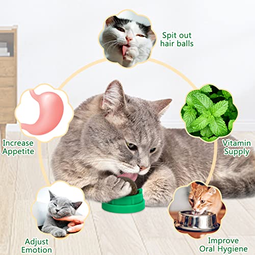 Catnip Ball Trio for Healthy Cat Play