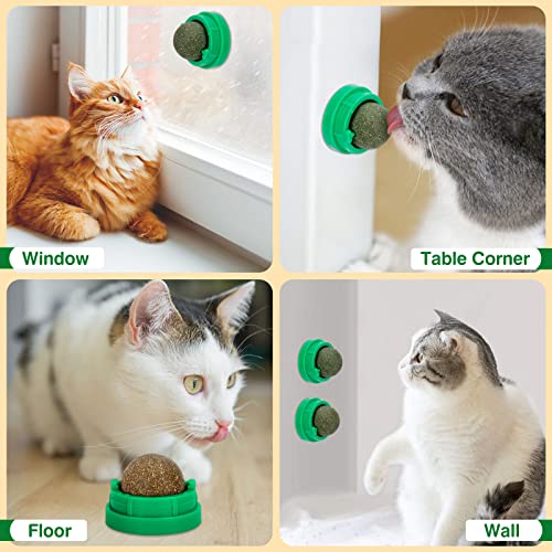 Catnip Ball Trio for Healthy Cat Play