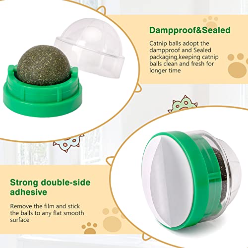 Catnip Ball Trio for Healthy Cat Play
