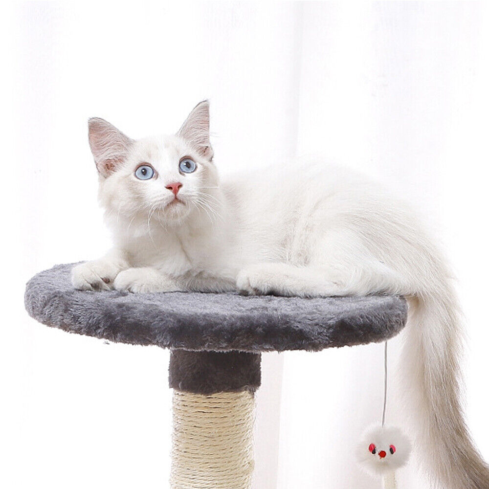 Small Cat Tree Scratching Tower Rest Toy