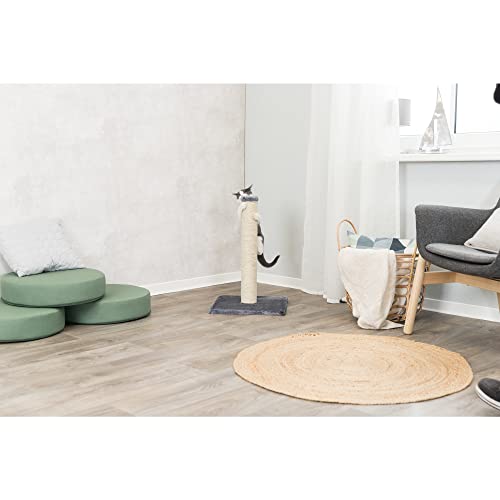 Gray Sisal Scratching Post, 24.5" Tall