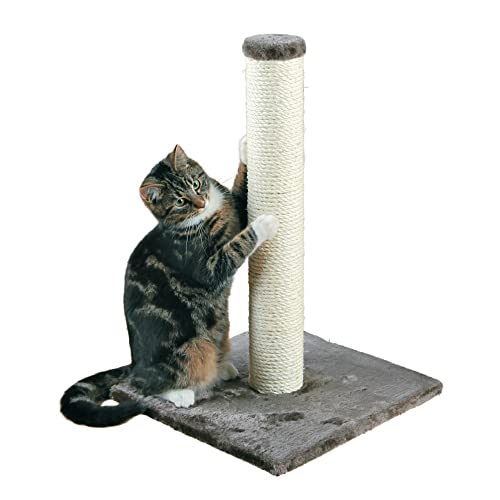 Gray Sisal Scratching Post, 24.5" Tall