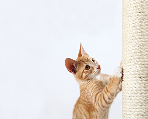 Gray Sisal Scratching Post, 24.5" Tall