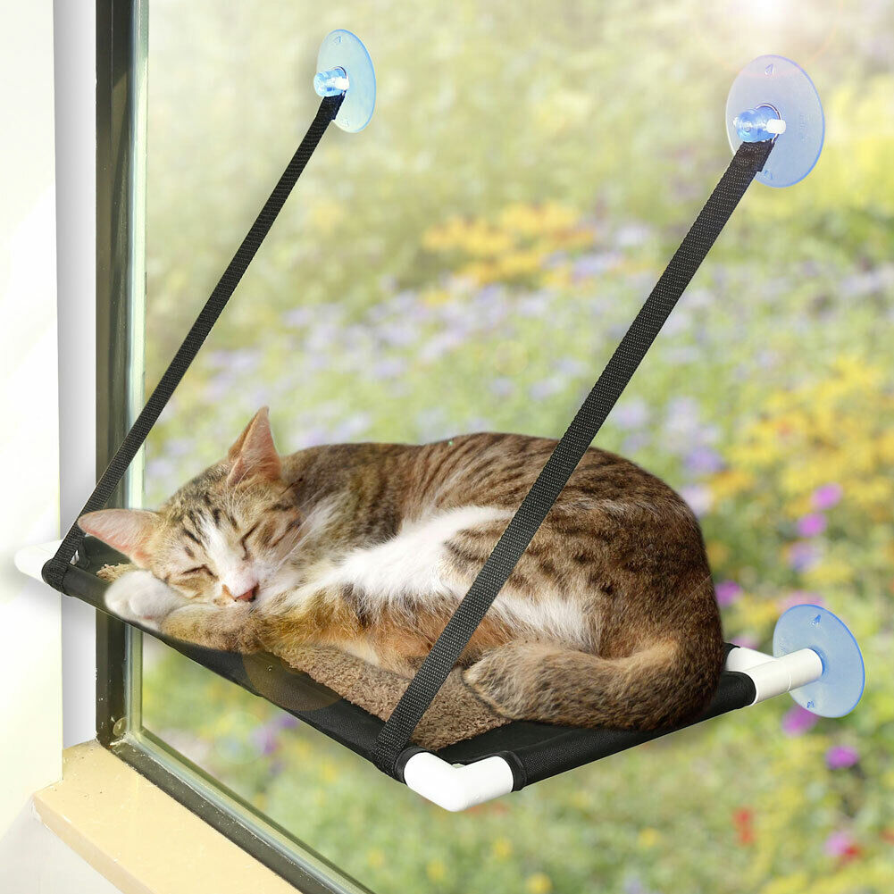 Suction Cup Cat Window Perch
