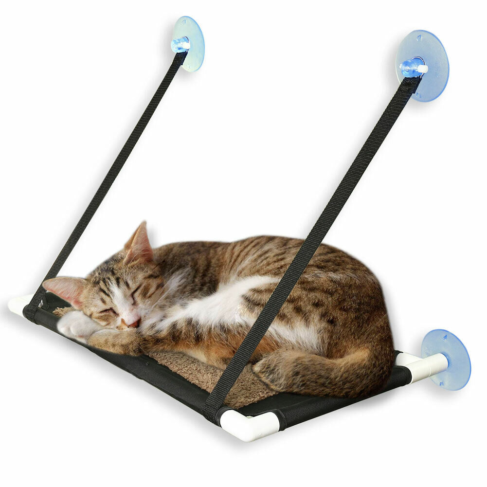 Suction Cup Cat Window Perch