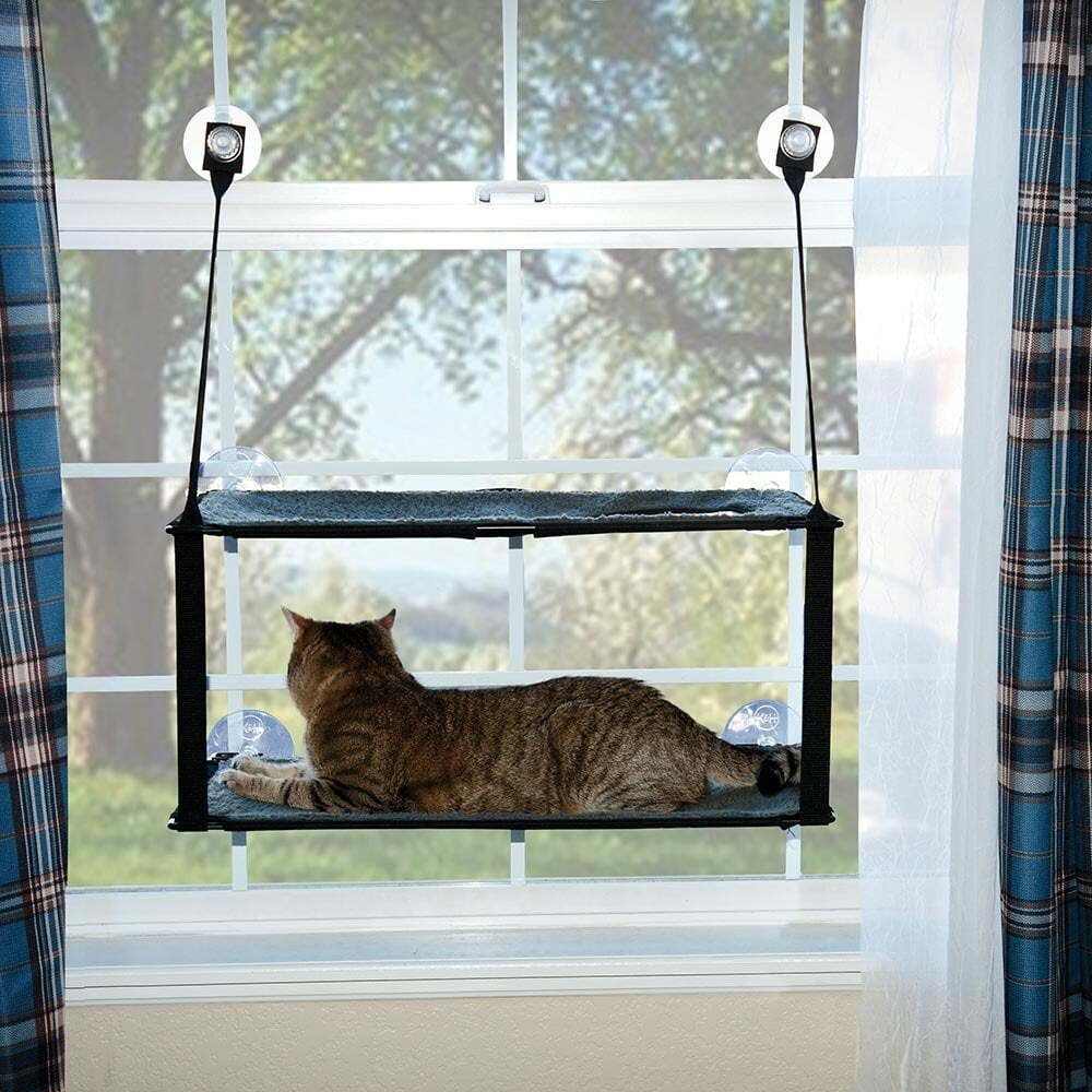 Double Decker Cat Window Hammock Bed