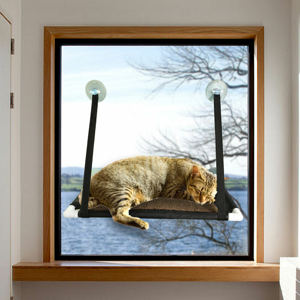 Suction Cup Cat Window Perch