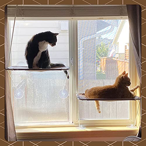 360° Sunbath Cat Window Hammock (M, Gold)