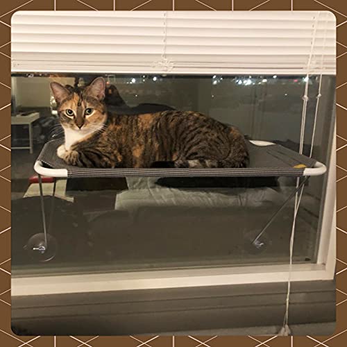 360° Sunbath Cat Window Hammock (M, Gold)