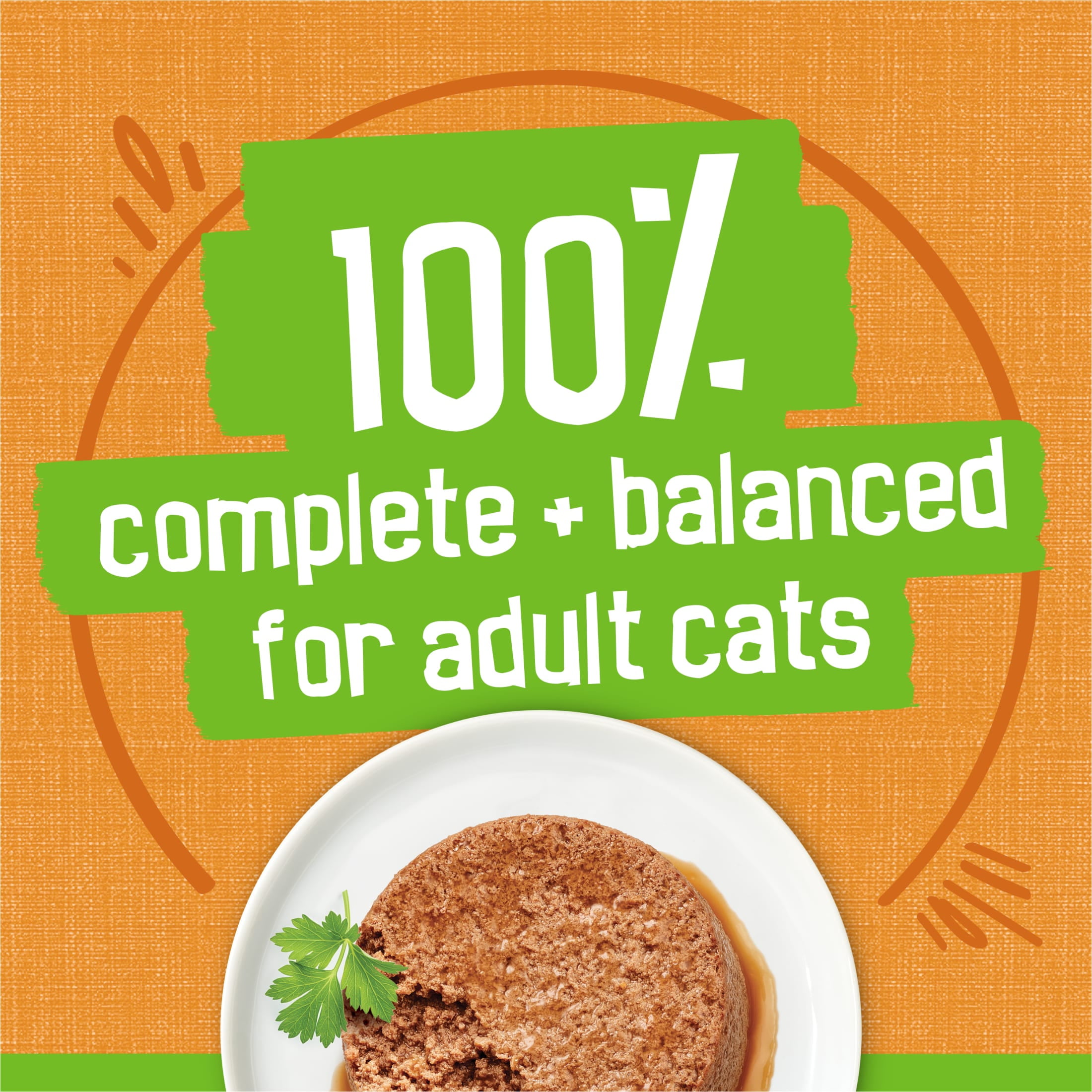 Friskies Pate Cat Food - Liver & Chicken