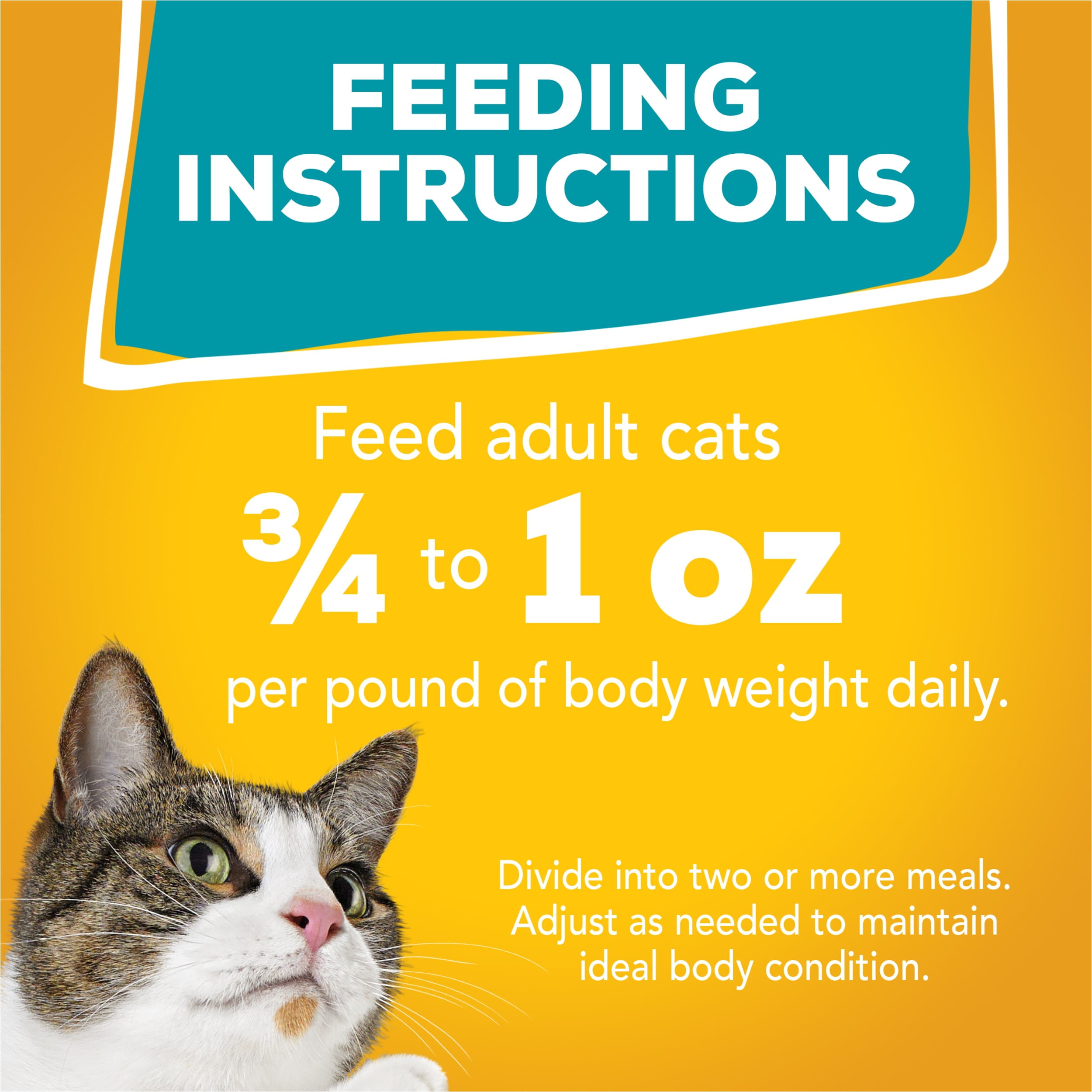 Friskies Tasty Treasures Cat Food Variety Pack