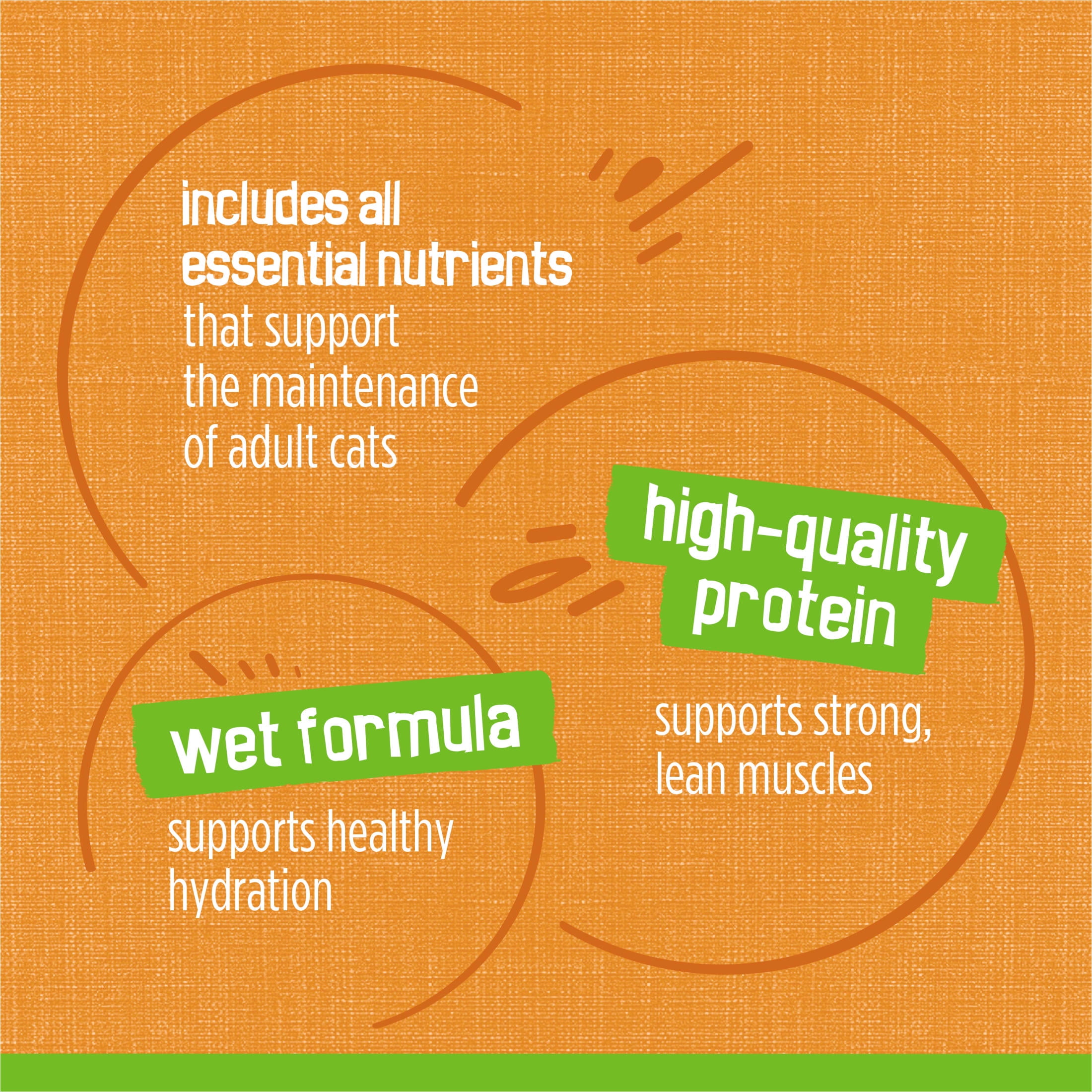 Friskies Pate Cat Food - Liver & Chicken