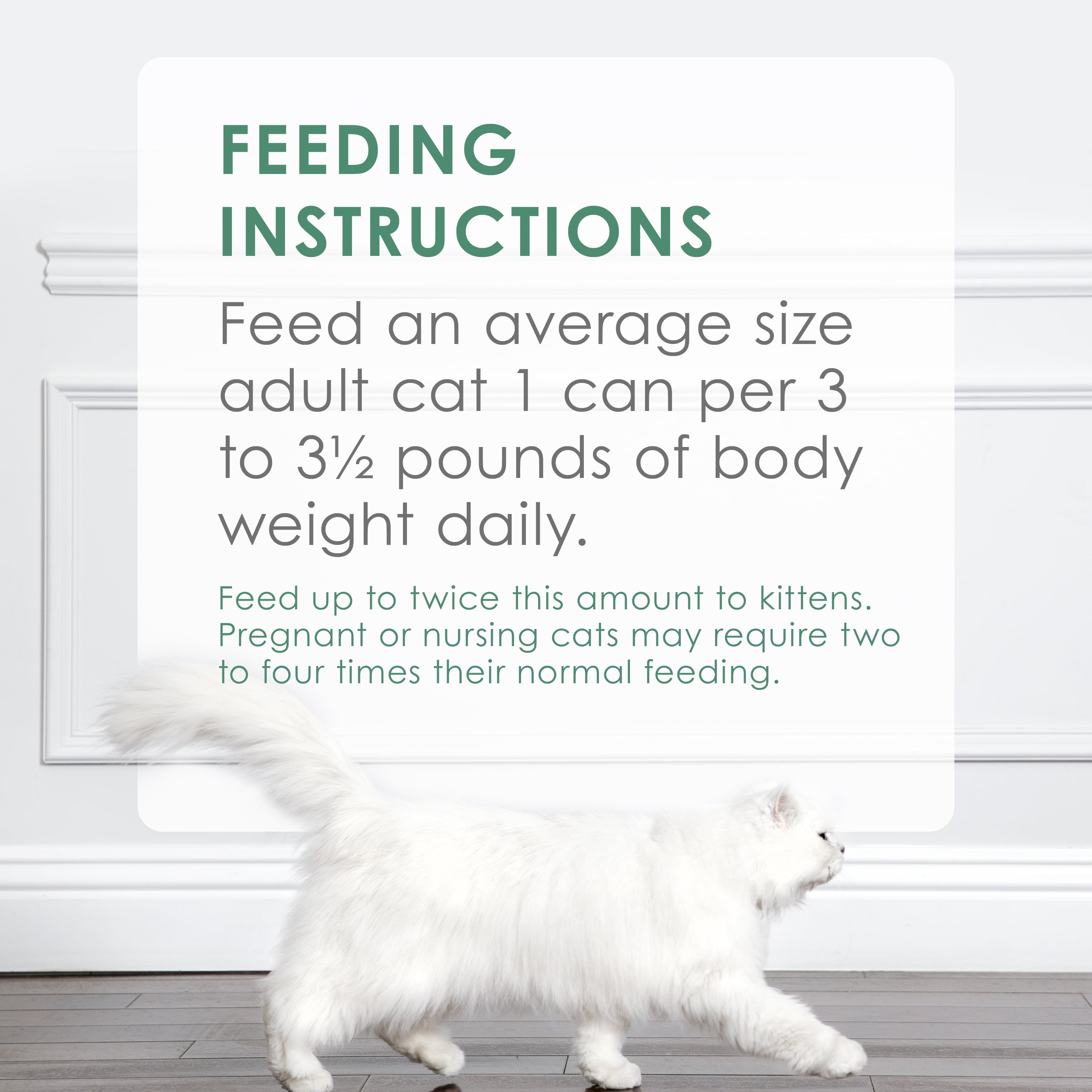 Fancy Feast Seafood Pate Cat Food, 3oz Can