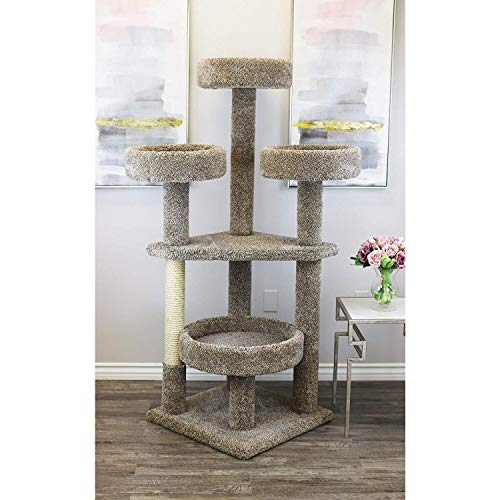 Neutral Main Coon Cat Tower