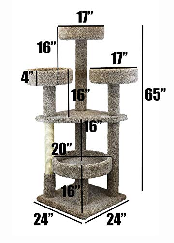 Neutral Main Coon Cat Tower