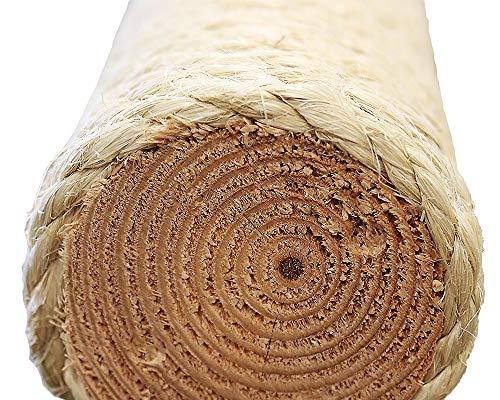 Neutral Main Coon Cat Tower