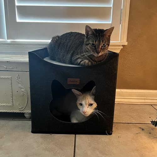 Cat Cave Bed with Interesting Opening Shape