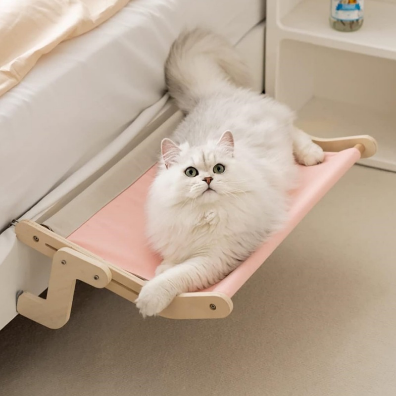 Multi-Ply Cat Window Bed - Hot Seller