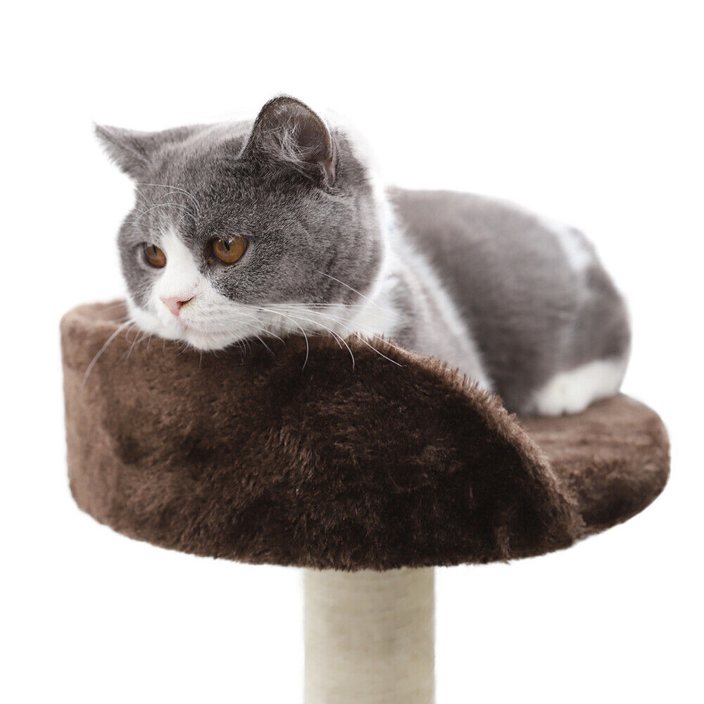 Cat Tree Scratcher Condo Bed Furniture