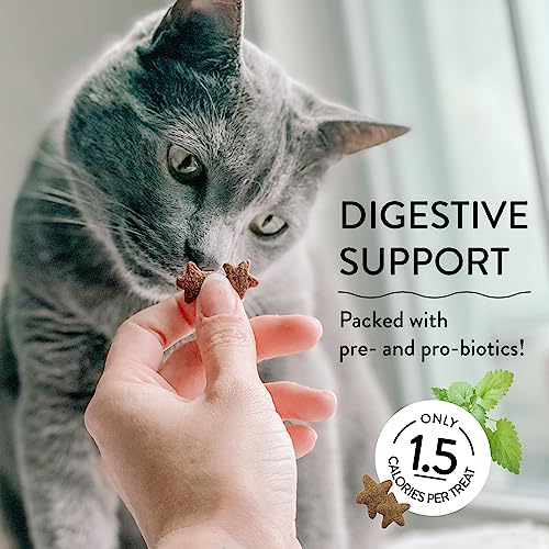 Catnip Calming Treats with Digestive Support & Chicken, 3-Pk
