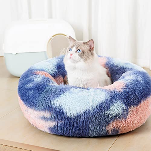 Cozy Anti-Anxiety Cat Bed in Vivid Colors