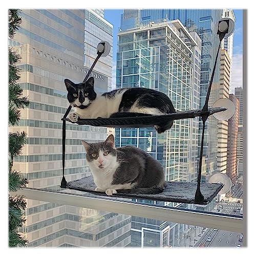 Double Stack Gray Cat Window Hammock Bed
