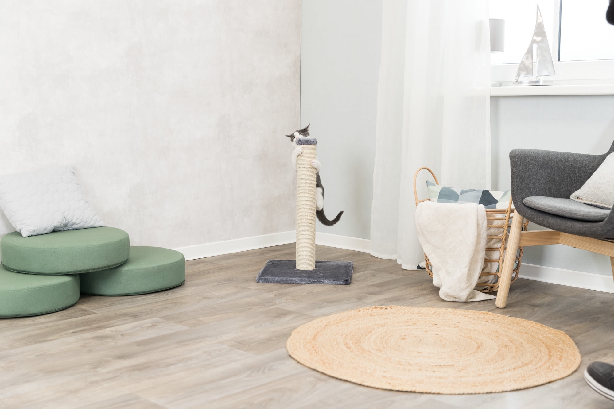 Gray Cat Scratching Post with Plush Base