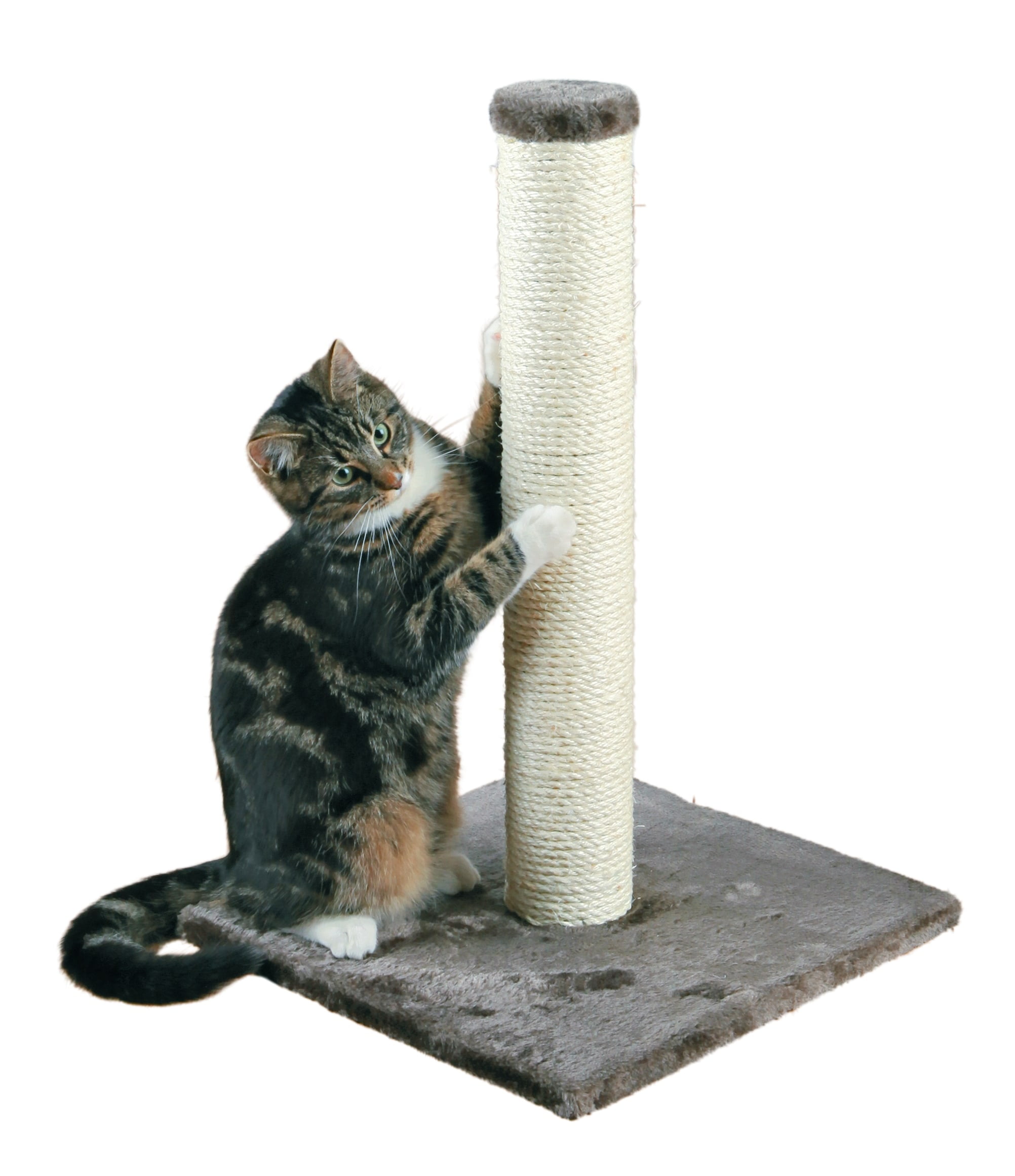 Gray Cat Scratching Post with Plush Base