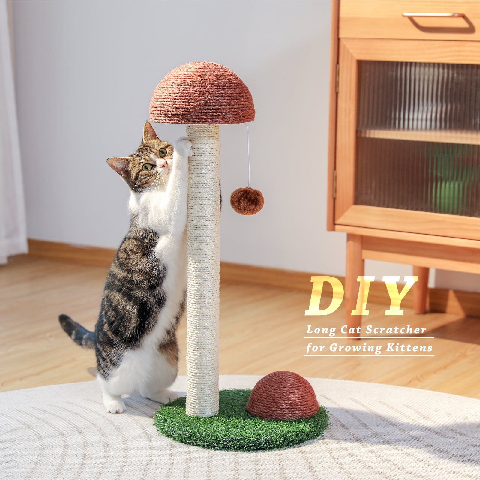 Mushroom Cat Scratching Post by PAWZ Road