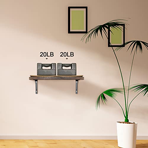 Cat Wall Shelves with Sisal and Cushion