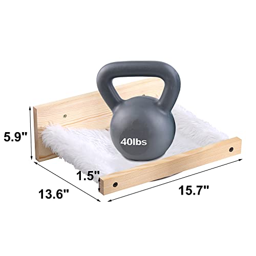 Wall-Mounted Cat Hammock & Shelf Combo