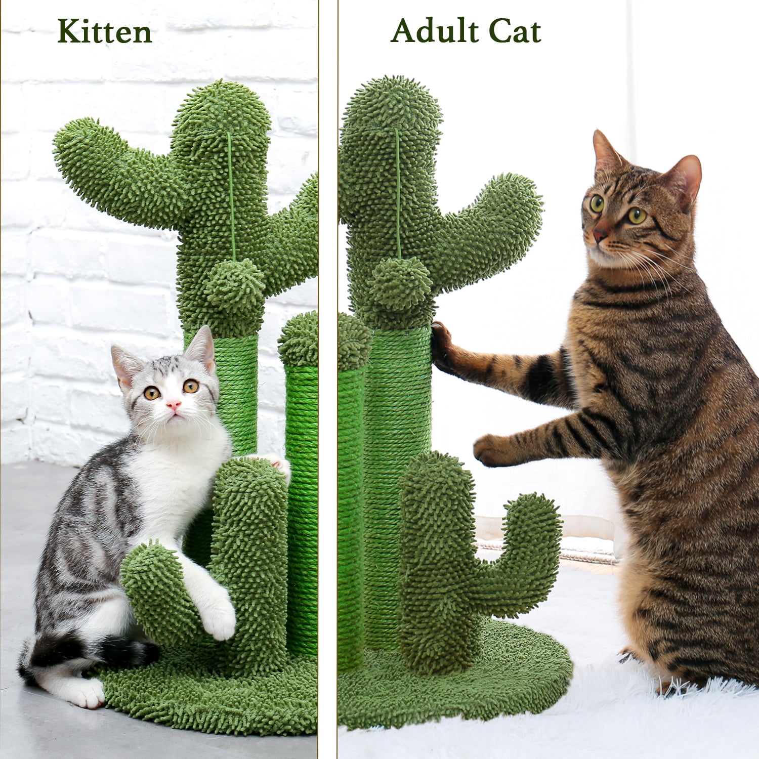 Green Cactus Cat Scratching Post - Medium