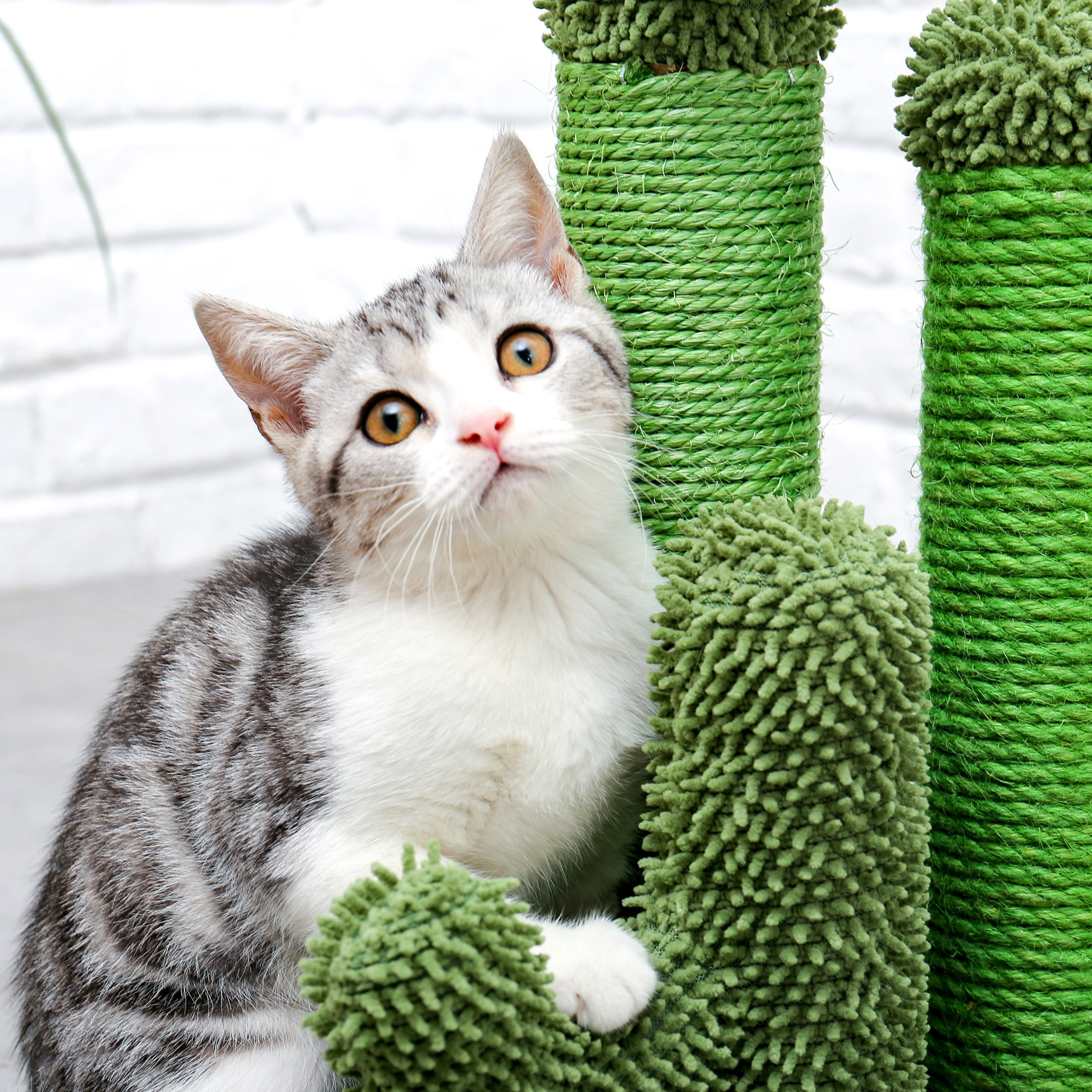 Green Cactus Cat Scratching Post - Medium