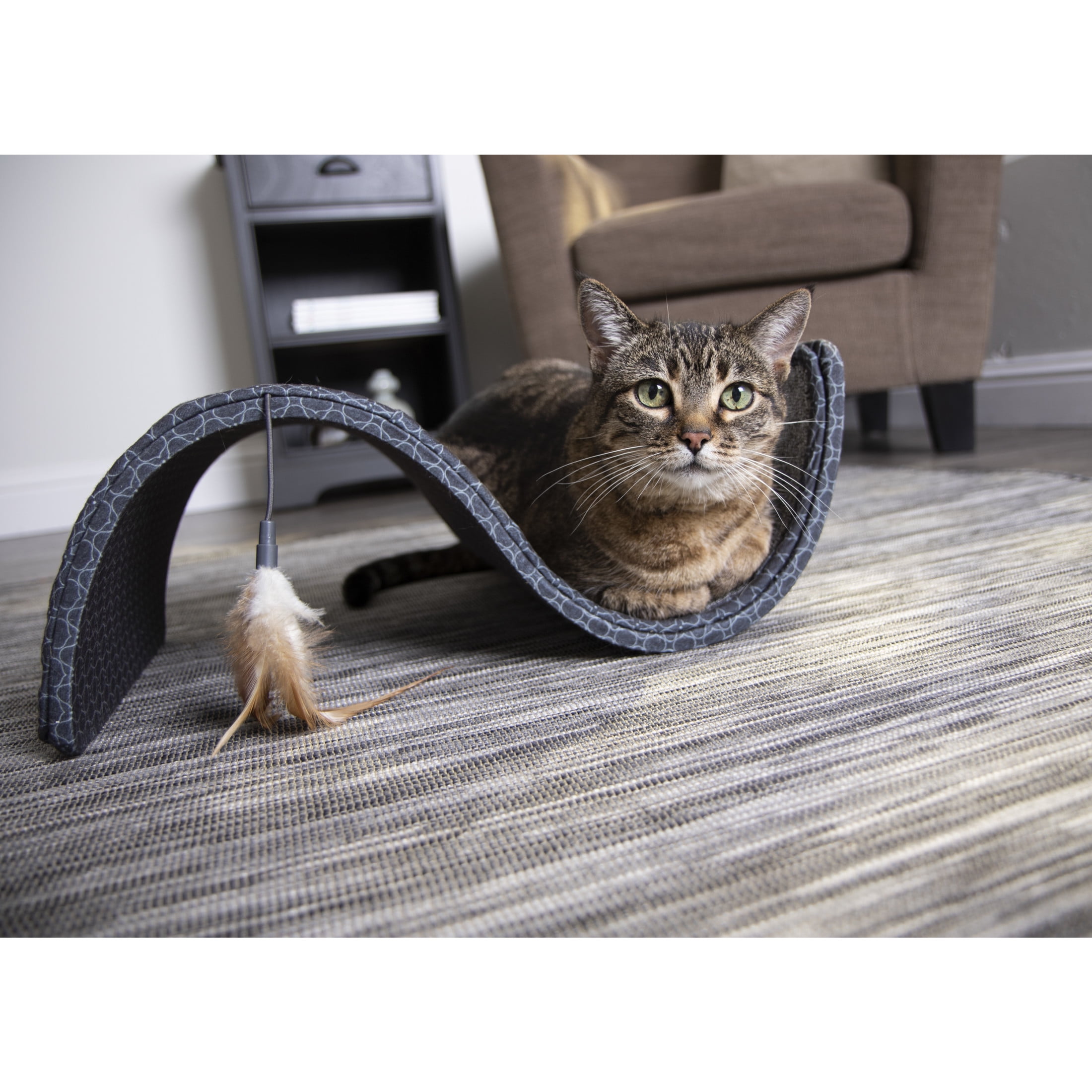 Feathered Cat Scratcher & Lounger Combo