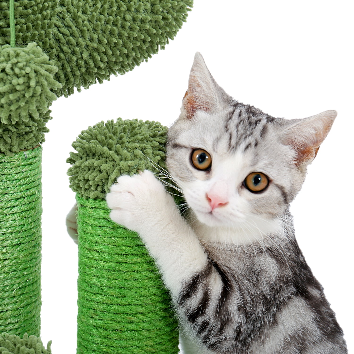 Green Cactus Cat Scratching Post - Medium