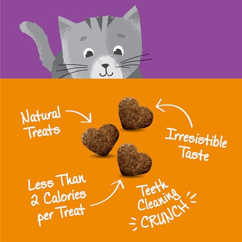 Chicken & Cranberry Cat Treats, Grain-Free, 2oz