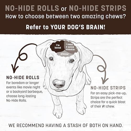 Chicken Flavored No Hide Stix for Cats