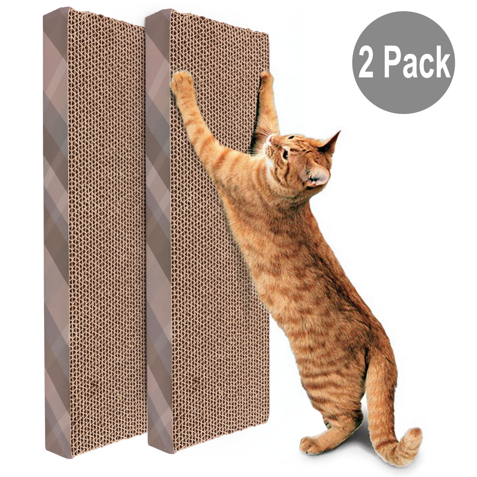 Cat Scratching Lounge with Board & Bed