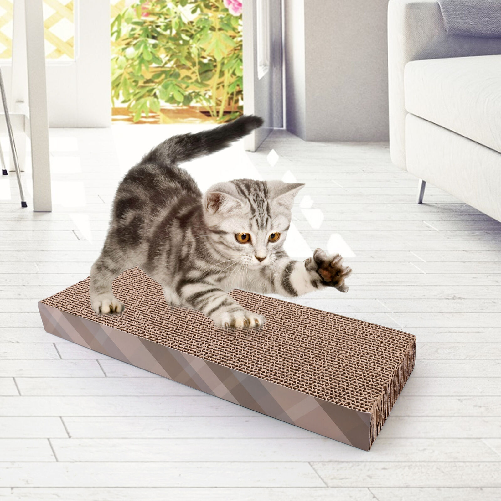 Cat Scratching Lounge with Board & Bed