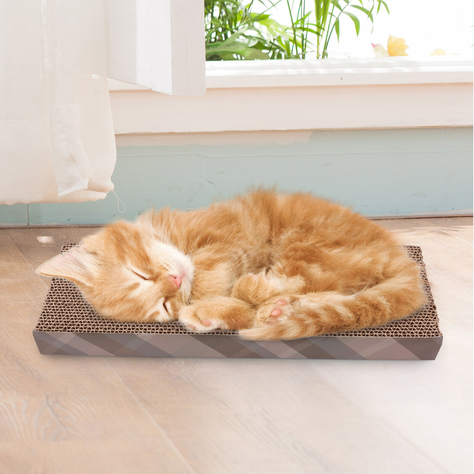 Cat Scratching Lounge with Board & Bed