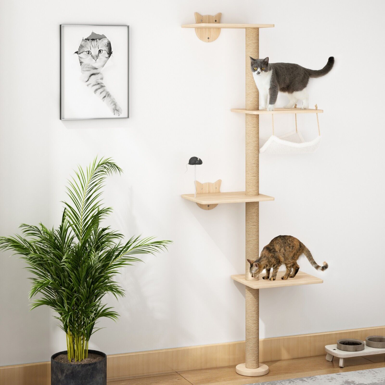 Cat Wall Shelves and Climbing Tree
