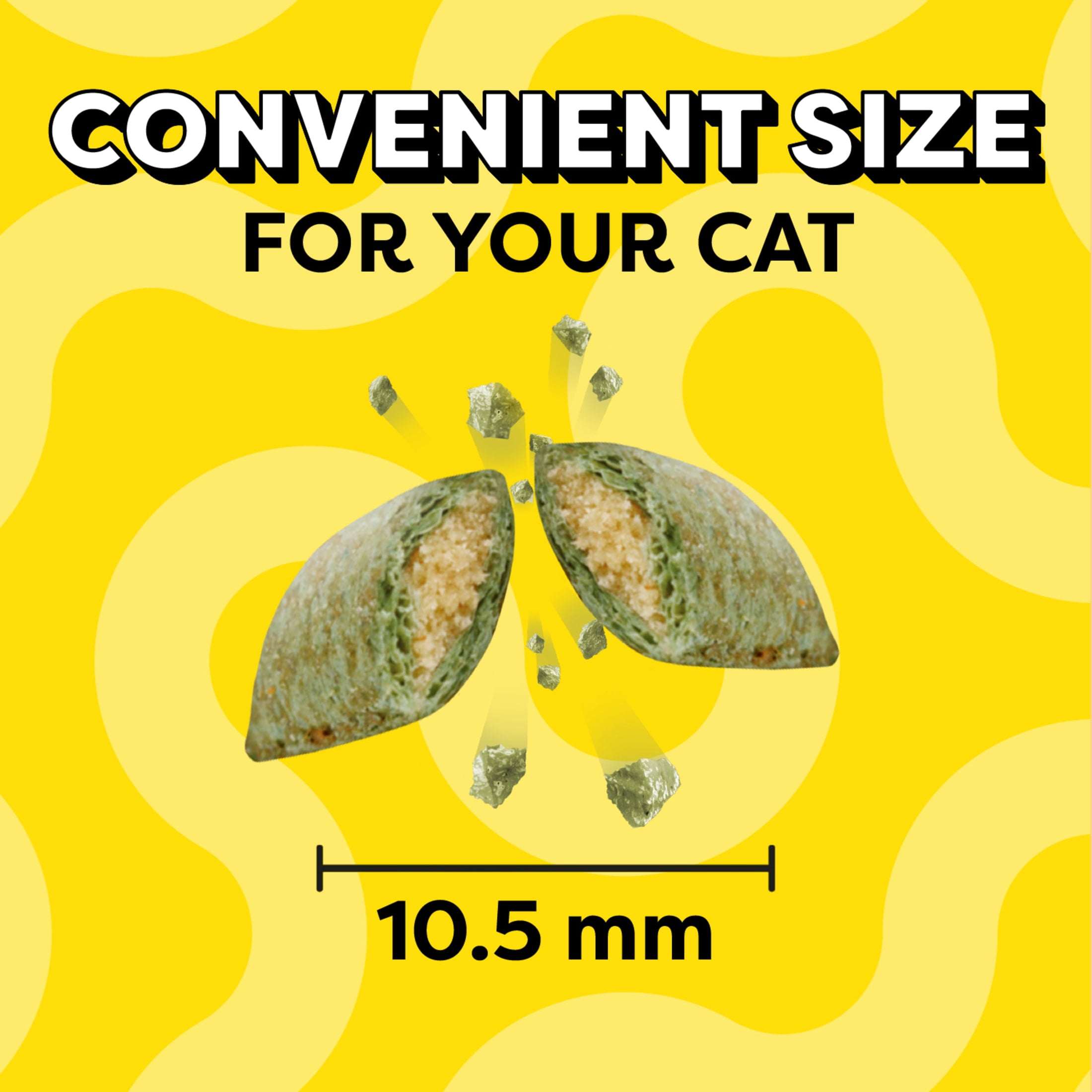 Catnip flavored Crunchy & Soft Cat Treats, 16 oz