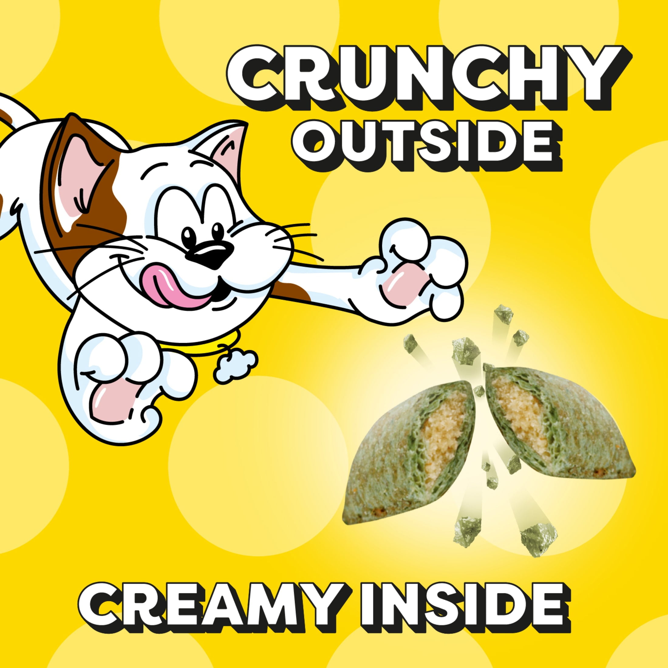 Catnip flavored Crunchy & Soft Cat Treats, 16 oz