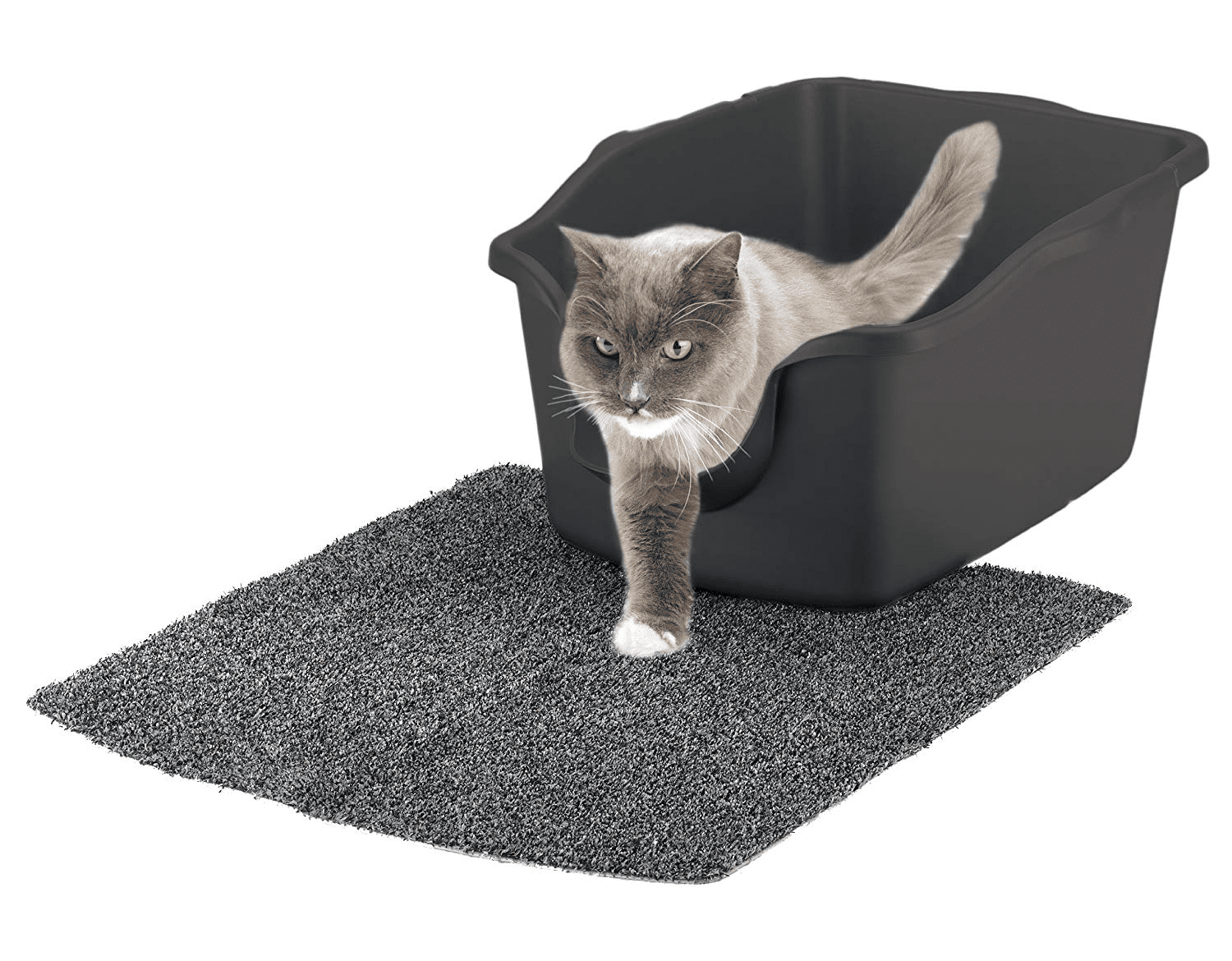 High-Sided Cat Litter Box with Easy-Clean Spout